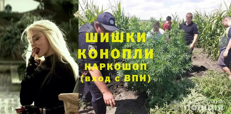 купить  цена  Новоалтайск  Бошки Шишки OG Kush 